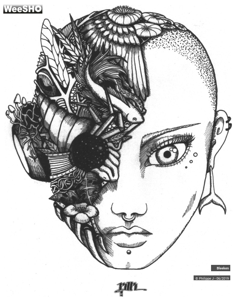 12/12 photos du spectacle Bleeken