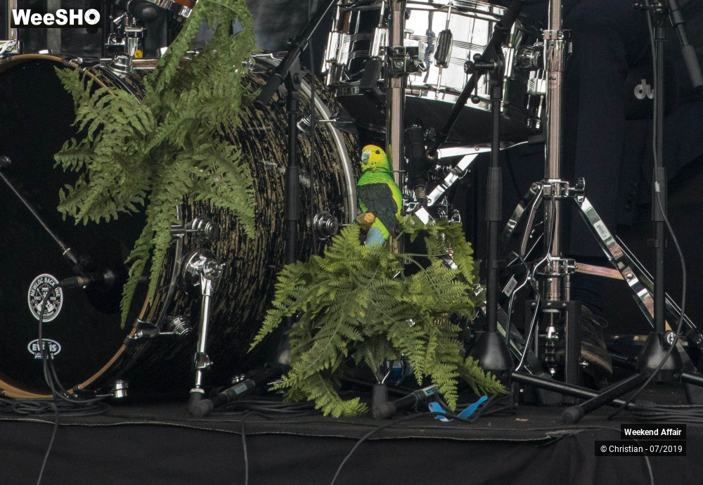 13/13 photos du spectacle Weekend Affair