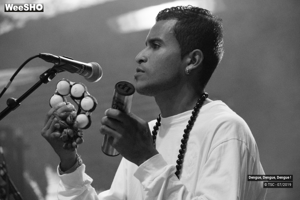 2/12 photos du spectacle Dengue, Dengue, Dengue !