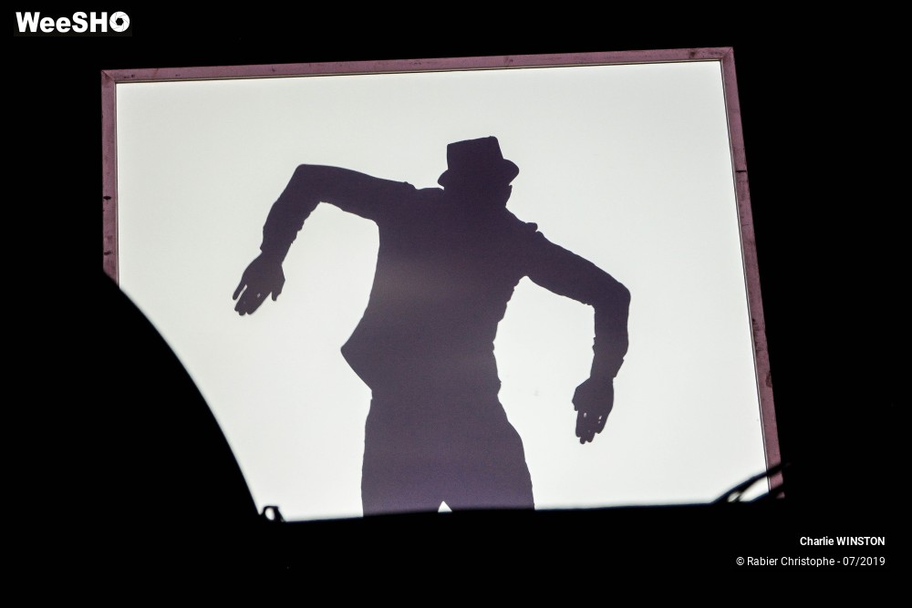 28/31 photos du spectacle Charlie Winston