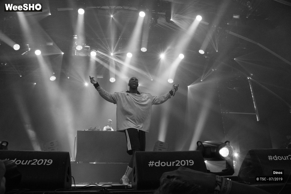 2/8 photos du spectacle Dinos