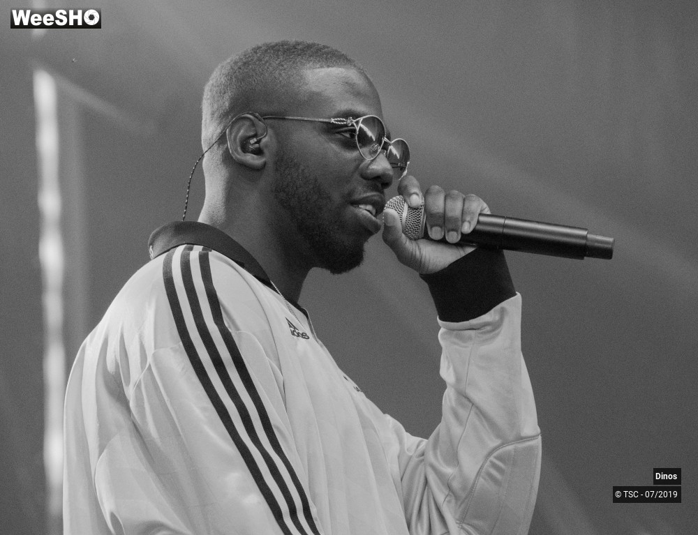 7/8 photos du spectacle Dinos