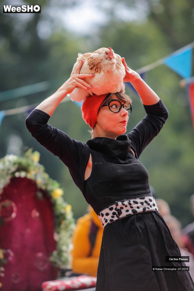 1/29 photos du spectacle Prends en de la graine