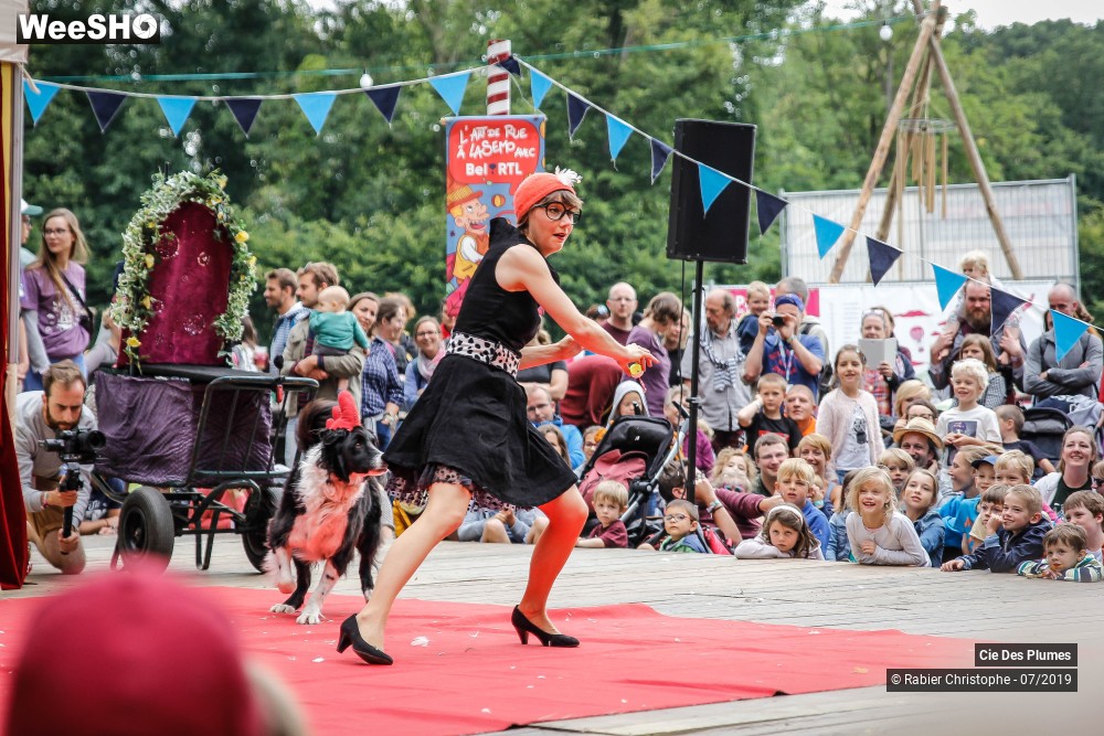 12/29 photos du spectacle Prends en de la graine