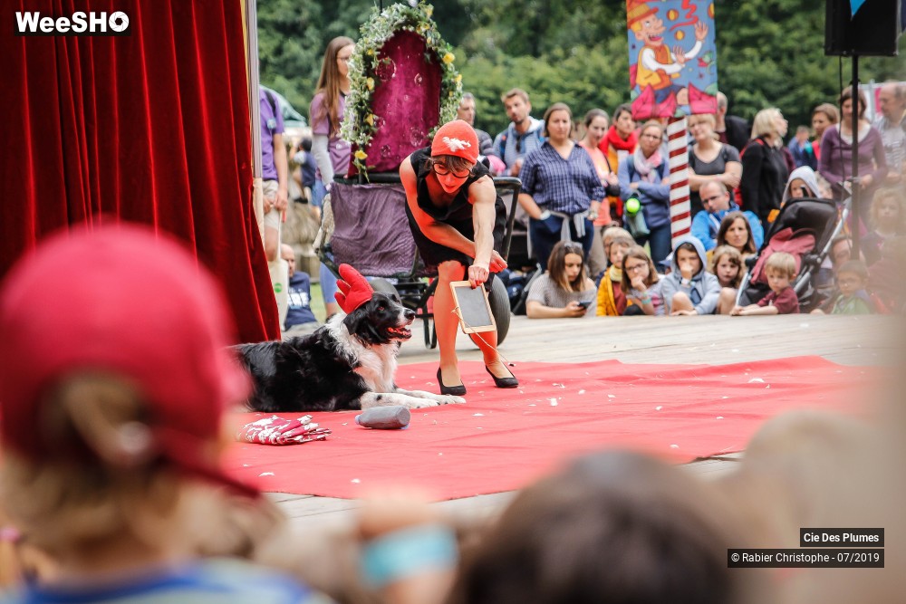 24/29 photos du spectacle Prends en de la graine