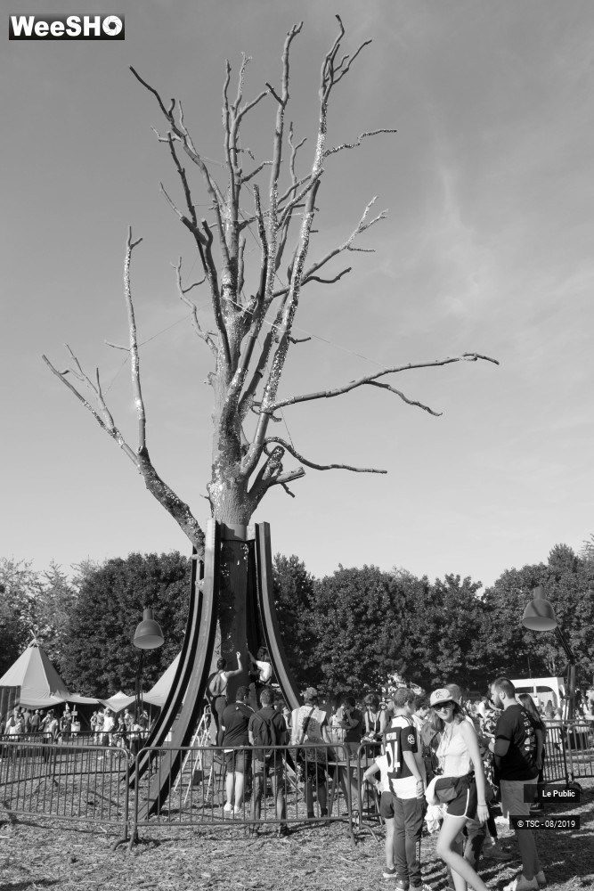 1/22 photos du spectacle Ambiance Le Cabaret Vert - J1