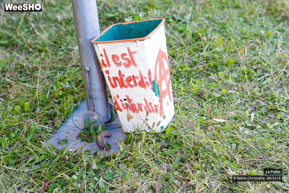 10/50 photos du spectacle Ambiance Festival Le P'tit Wood