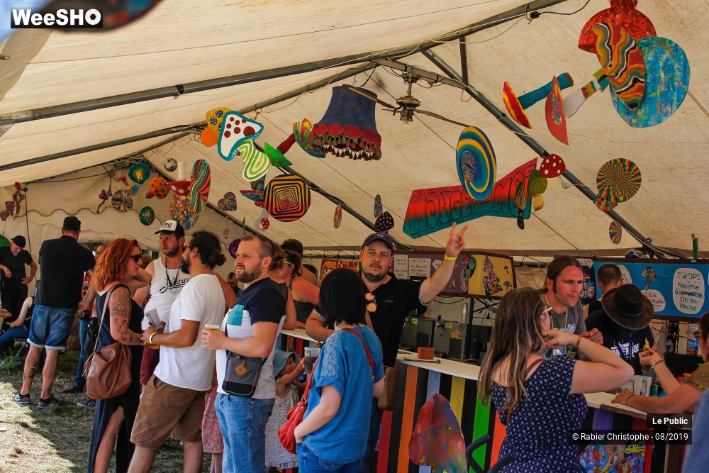 13/50 photos du spectacle Ambiance Festival Le P'tit Wood