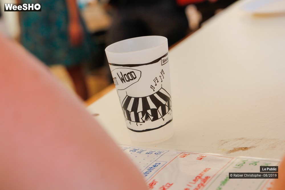 22/50 photos du spectacle Ambiance Festival Le P'tit Wood