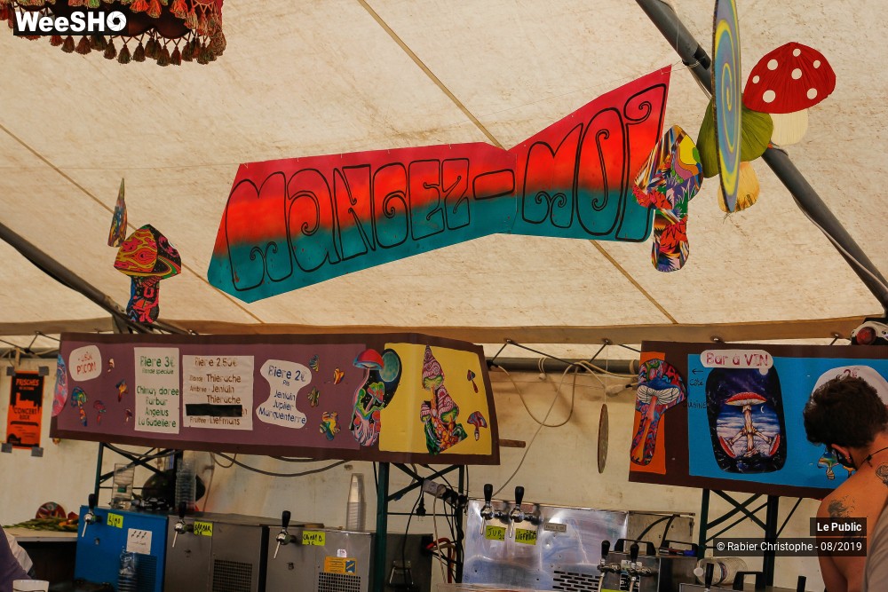 45/50 photos du spectacle Ambiance Festival Le P'tit Wood