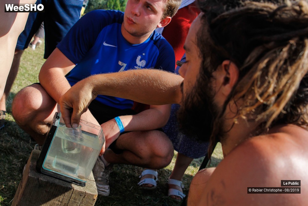 26/31 photos du spectacle Ambiance 2 Festival Le P'tit Wood