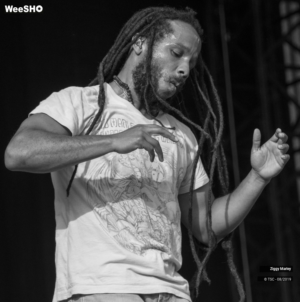 1/10 photos du spectacle Ziggy Marley