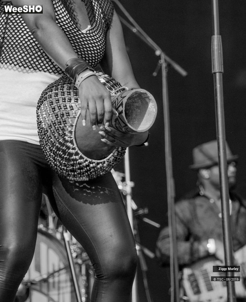 2/10 photos du spectacle Ziggy Marley