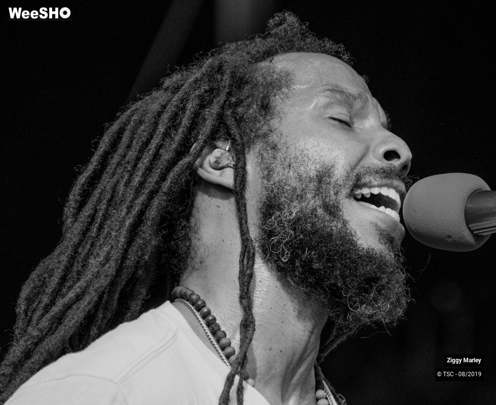 4/10 photos du spectacle Ziggy Marley