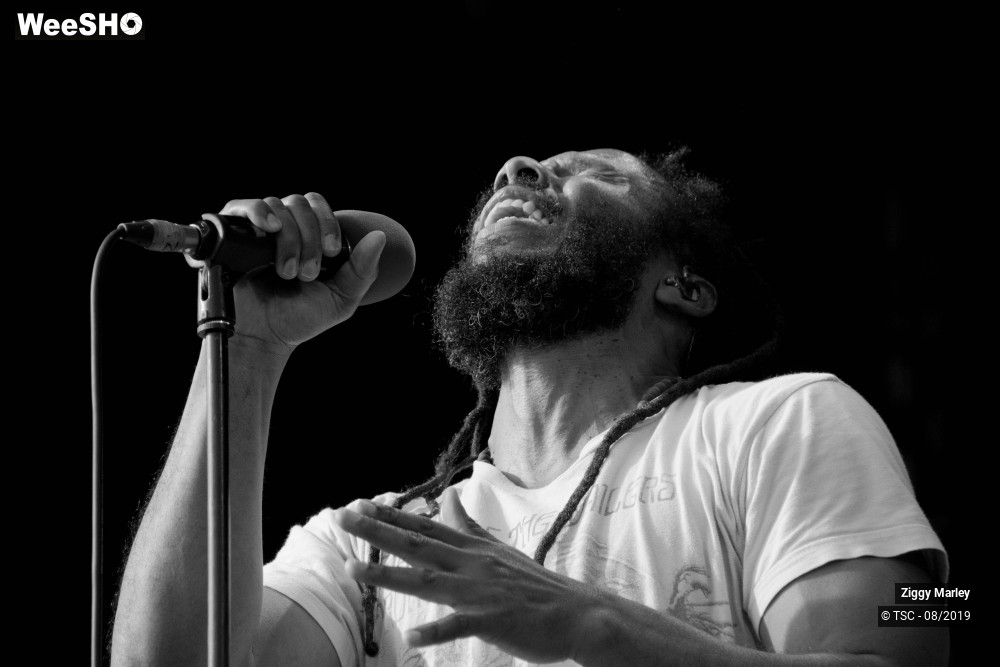 7/10 photos du spectacle Ziggy Marley