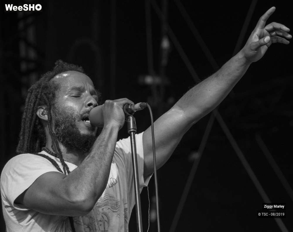 8/10 photos du spectacle Ziggy Marley