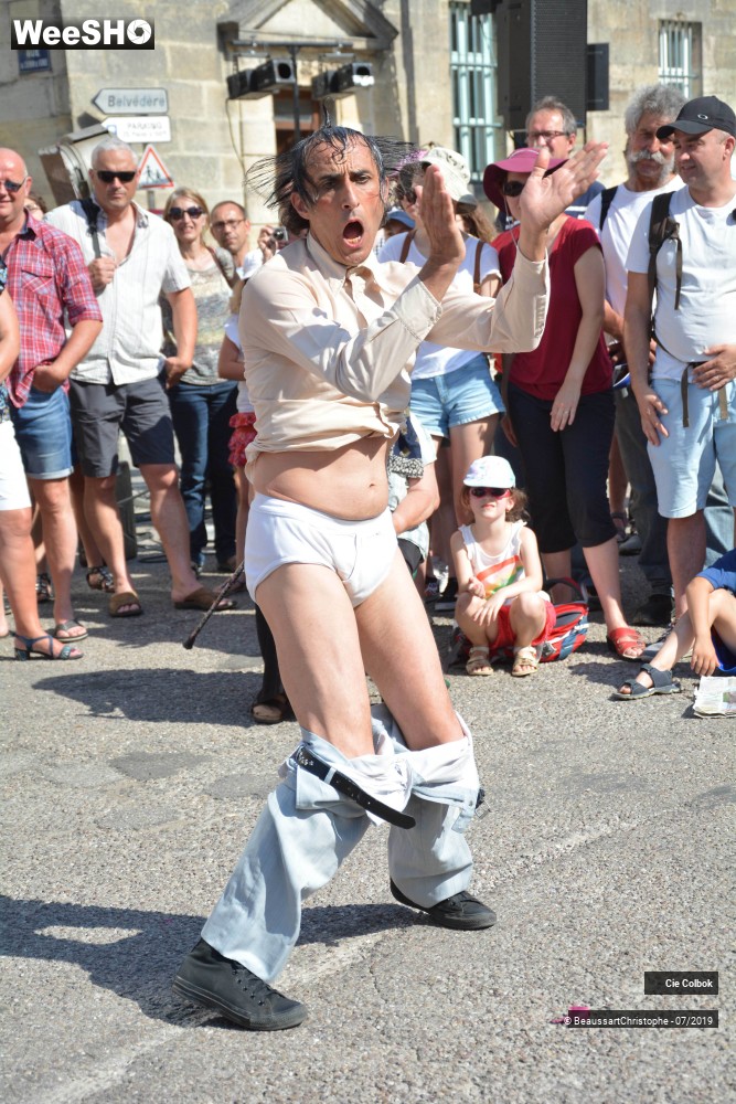 7/38 photos du spectacle Les Hirsutes