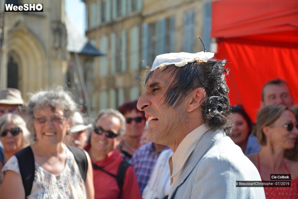 16/38 photos du spectacle Les Hirsutes