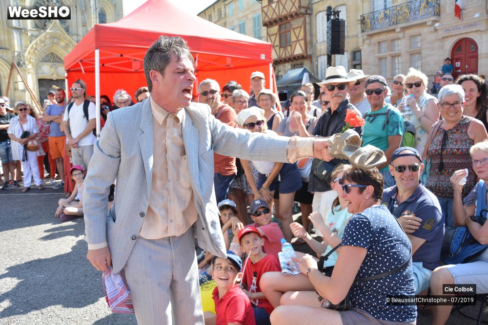 17/38 photos du spectacle Les Hirsutes