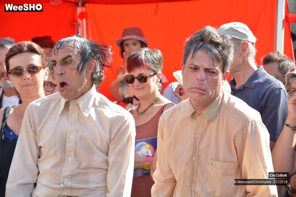 19/38 photos du spectacle Les Hirsutes