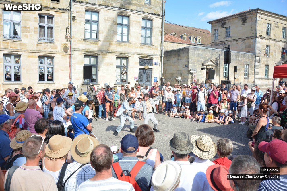 20/38 photos du spectacle Les Hirsutes