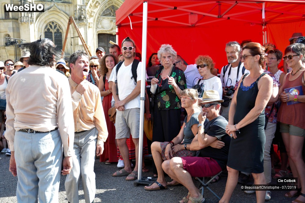 21/38 photos du spectacle Les Hirsutes