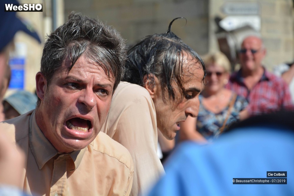 26/38 photos du spectacle Les Hirsutes