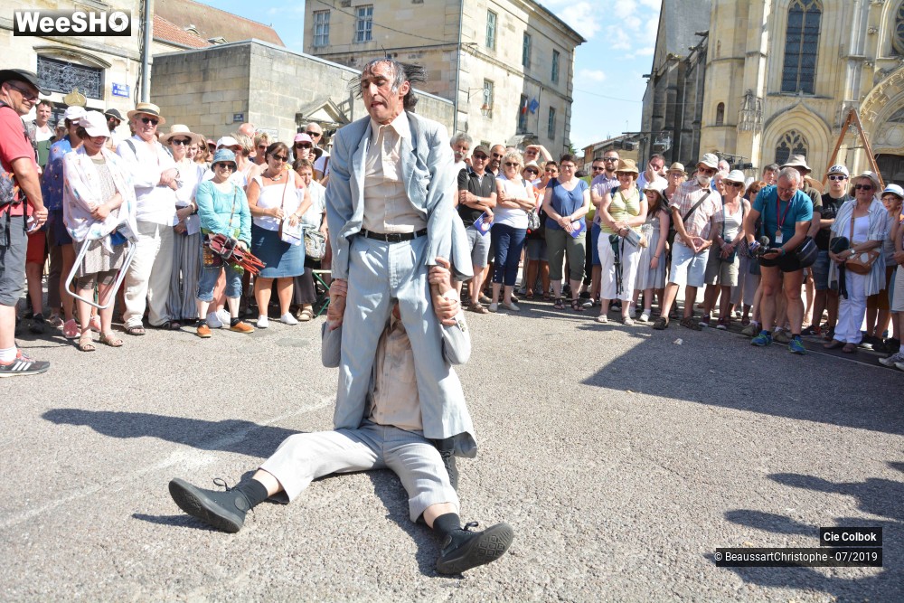 27/38 photos du spectacle Les Hirsutes