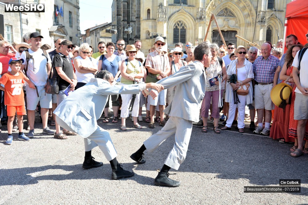 36/38 photos du spectacle Les Hirsutes