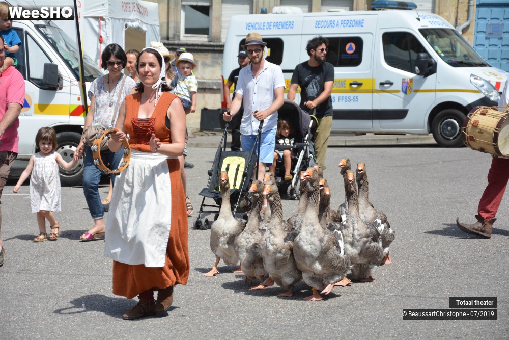 4/8 photos du spectacle La Fanfare des Oies