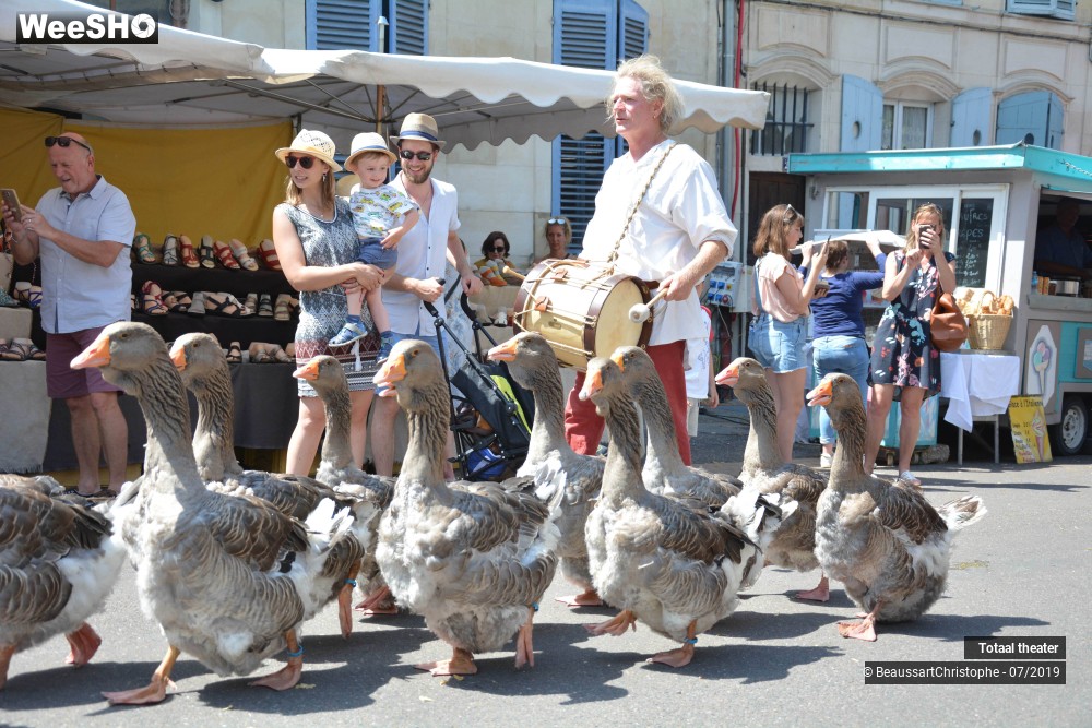 5/8 photos du spectacle La Fanfare des Oies