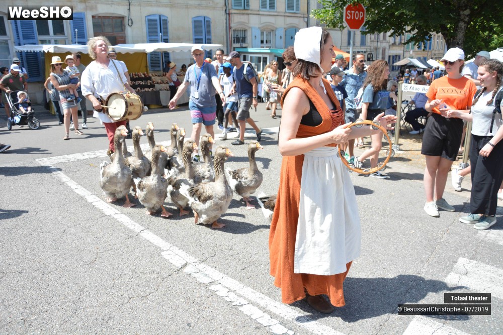 6/8 photos du spectacle La Fanfare des Oies