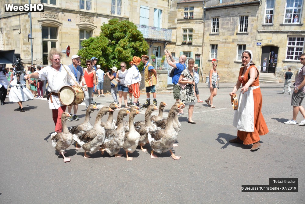 7/8 photos du spectacle La Fanfare des Oies