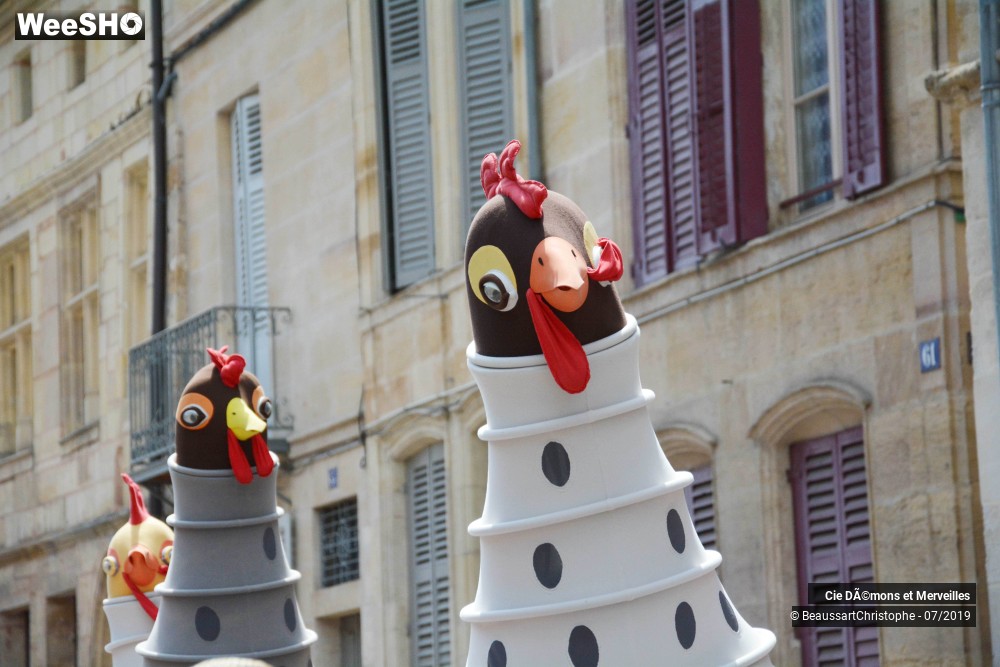 9/13 photos du spectacle Les Poules