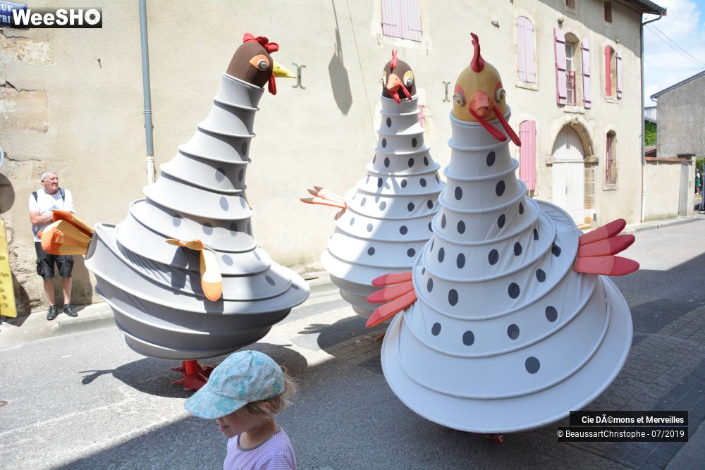 11/13 photos du spectacle Les Poules