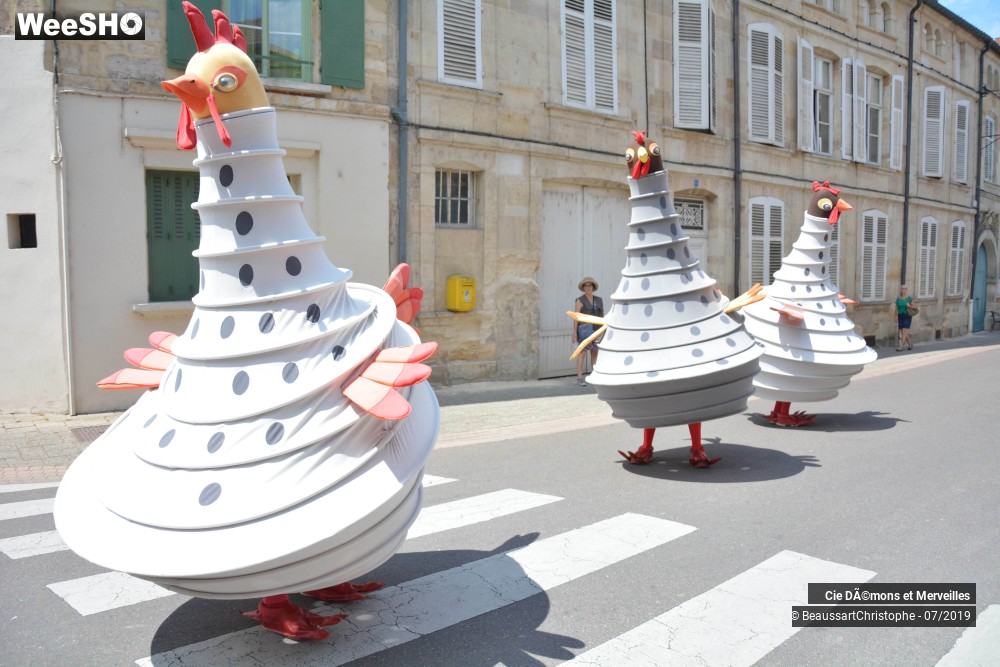 12/13 photos du spectacle Les Poules