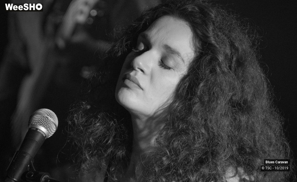 11/28 photos du spectacle Blues Caravan