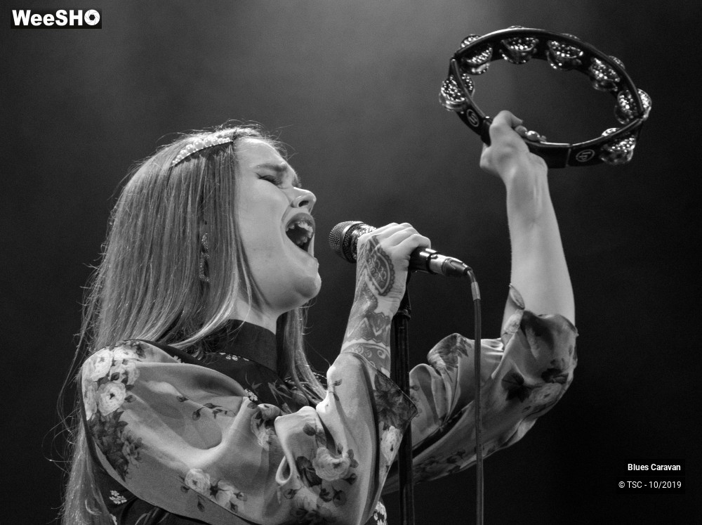 16/28 photos du spectacle Blues Caravan