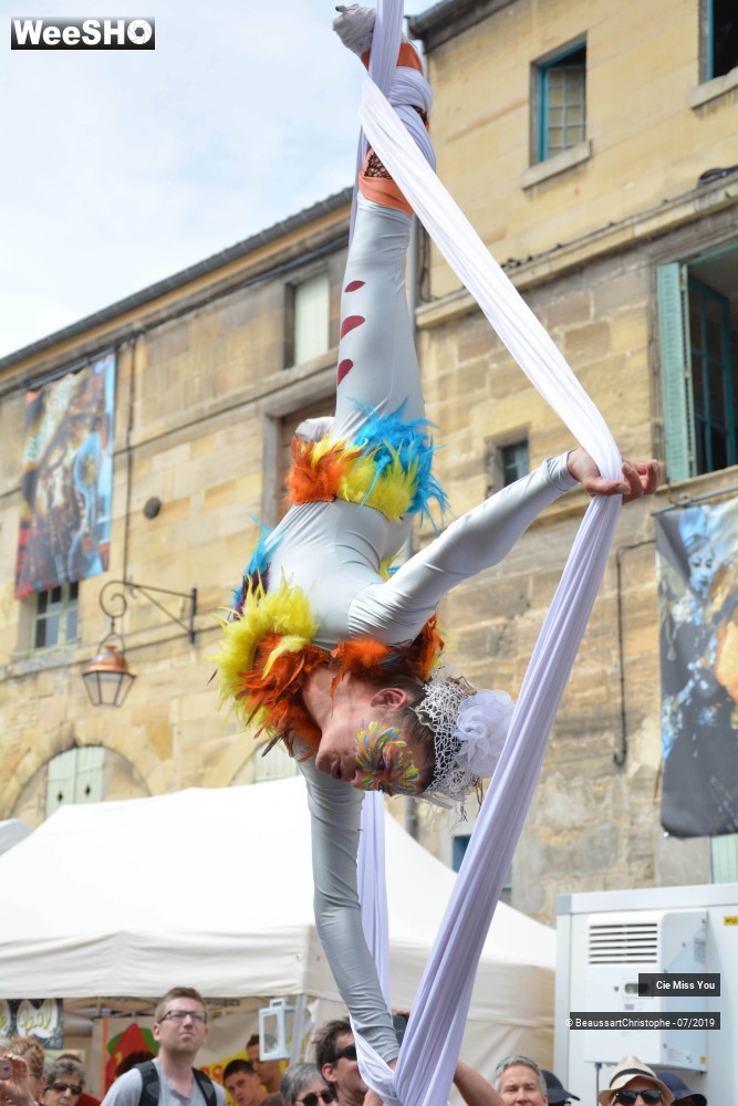 2/37 photos du spectacle Le cabaret aérien