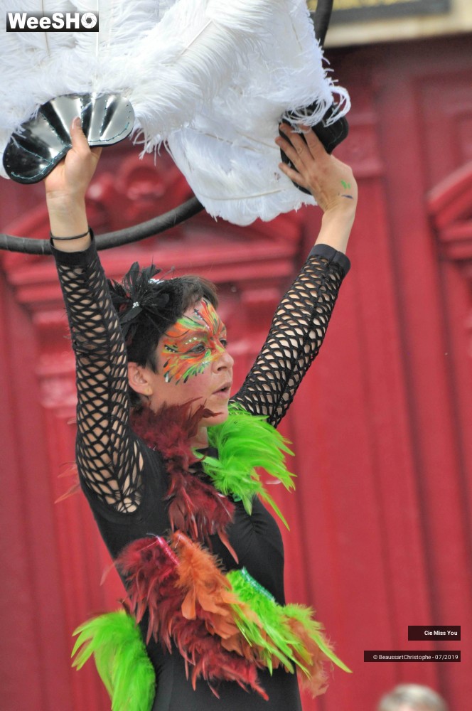 5/37 photos du spectacle Le cabaret aérien