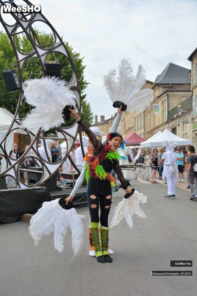 7/37 photos du spectacle Le cabaret aérien