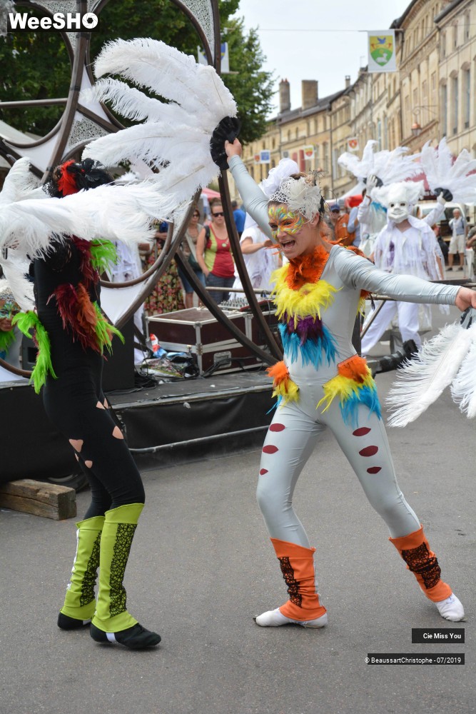 14/37 photos du spectacle Le cabaret aérien