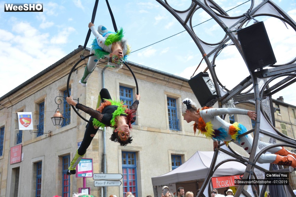 18/37 photos du spectacle Le cabaret aérien