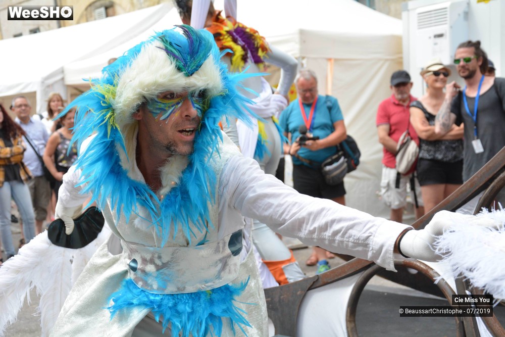 24/37 photos du spectacle Le cabaret aérien