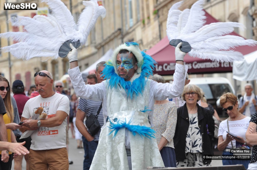 26/37 photos du spectacle Le cabaret aérien