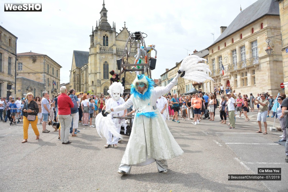 29/37 photos du spectacle Le cabaret aérien
