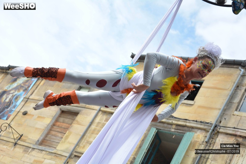 30/37 photos du spectacle Le cabaret aérien