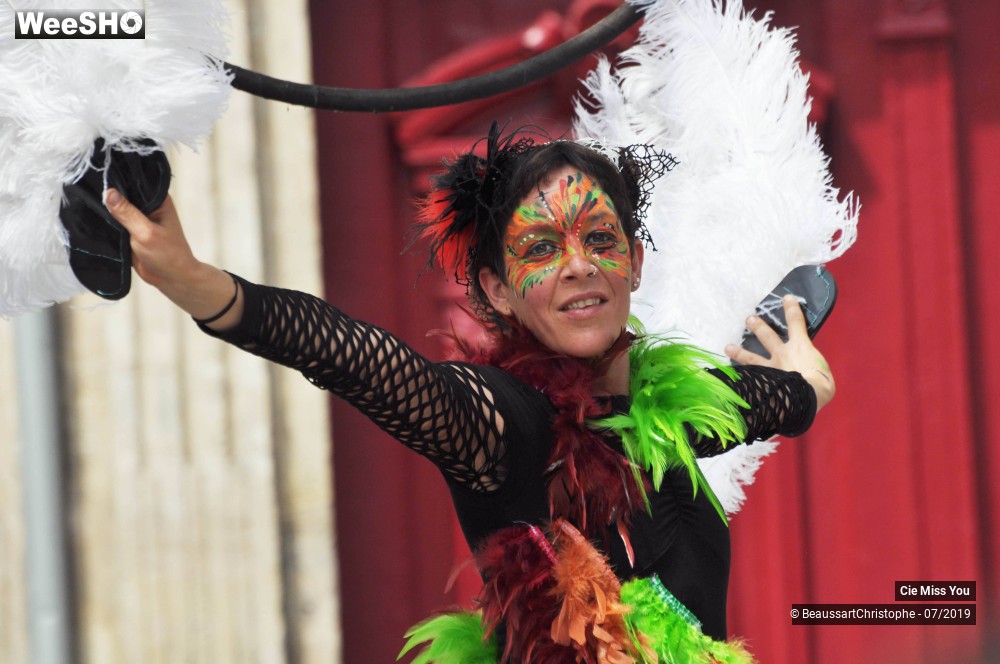 32/37 photos du spectacle Le cabaret aérien