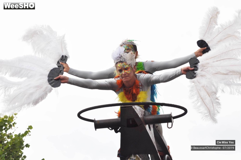 34/37 photos du spectacle Le cabaret aérien