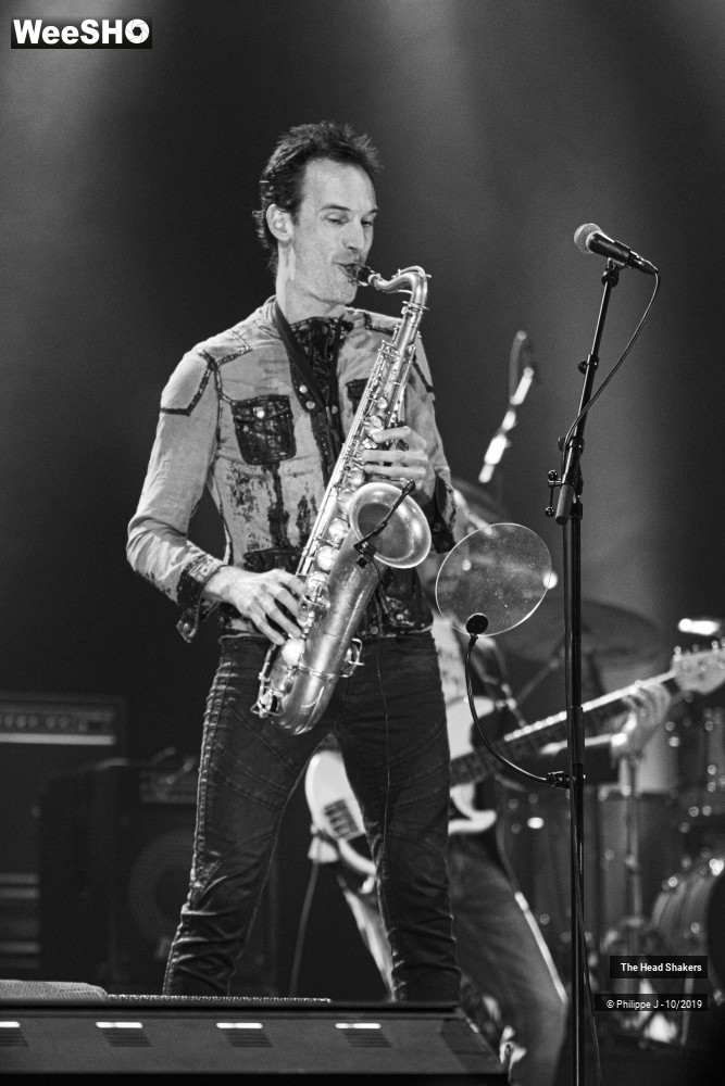 4/10 photos du spectacle The Head Shakers